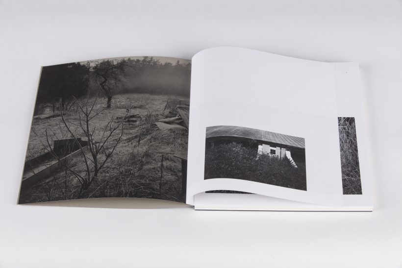 Vytautas Pletkus_Tustejimas_2