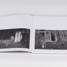 Vytautas Pletkus_Tustejimas_3