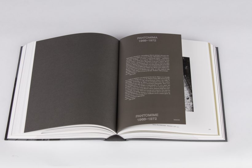 Vitas Luckus_Kuryba_7