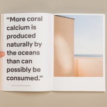 190709_CATALOGUE_KAUNAS_6781