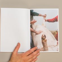 190709_CATALOGUE_KAUNAS_6792