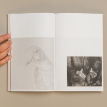 190709_CATALOGUE_KAUNAS_6799