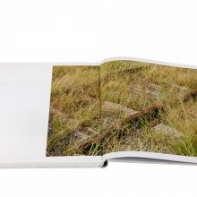 Shane Lavalette_One Sun One Shadow_4