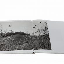 Shane Lavalette_One Sun One Shadow_6