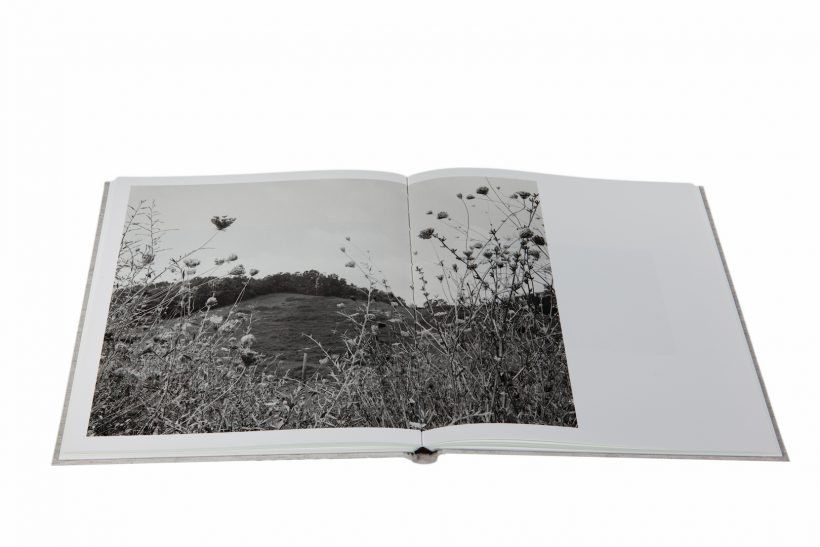 Shane Lavalette_One Sun One Shadow_6