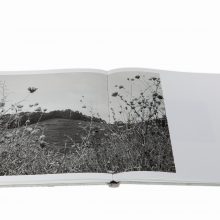 Shane Lavalette_One Sun One Shadow_7