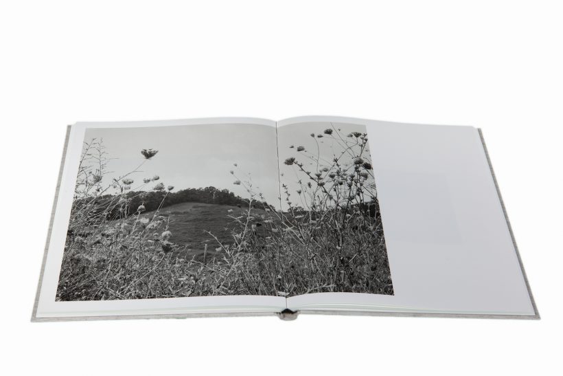 Shane Lavalette_One Sun One Shadow_7