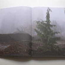 _C7A2613