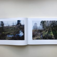IMG_1015