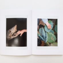 12.10-25